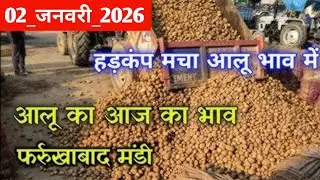 2 January 2026 aalu ka aaj ka bhav Farrukhabad Mandi, Potato price today, Aalu Mandi bhav today 