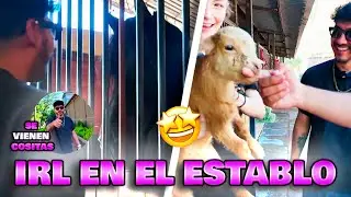 ZEIN, ALEXA y DIEGO 💥 IRL EN ESTABLO DE CABALLOS 💥 UTILIZANDO LA STARLINK