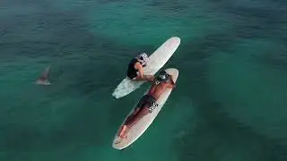 El Dingo Surf Hats Presents The Dopamine Drop | A Winter Surfing in Lombok and Lakey Peak
