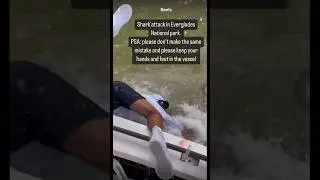 ⚠️Shark Attack in Florida!! ⚠️ #floridafishing #fishing #shorts #shark #florida #sealife #attack