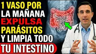 Cómo Eliminar Parásitos Intestinales y Desintoxica tu cuerpo naturalmente