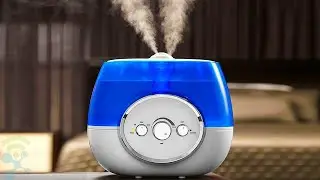 Top 5 Best Humidifiers 2024