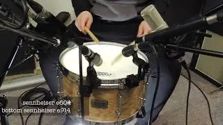Tama S.L.P. G-Maple Snare 13x7