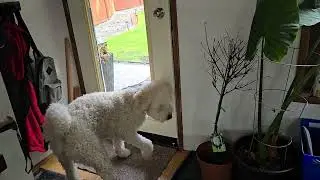 training to close the door