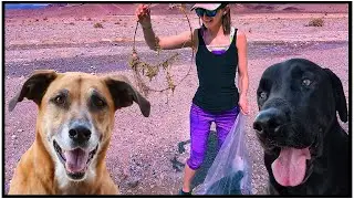 Cleaning Up the Amargosa River Trail in Sperry Wash