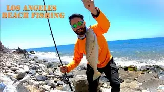 Surf Fishing Los Angeles Beaches.. Catch & Cook Fish Tacos (Yellowfin Croaker)