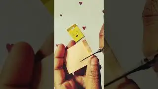 Mini bag#diy #punjabisong #haryanvisong