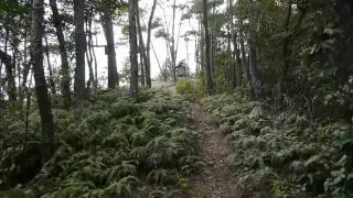 吉名鷹ノ巣山－12月
