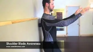 Shoulder Blade Awareness