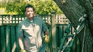 Powerline Safety at Home