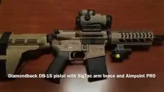 Diamondback AR-15 pistol with SigTac arm brace