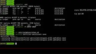 How to manage iptables with netfilter persistent