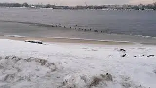Andrejosta. Riga - Рига,Андрейсала и порт!  Riga port