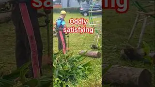 Extreme Satisfying Lawn Mowing - Garden Transformation ASMR #shorts