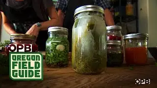 Southern Oregon&rsquo;s Fermented Food Pioneers