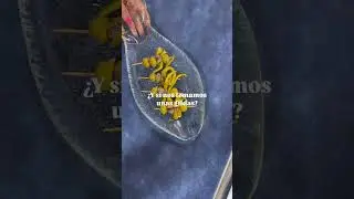 Gildas en Sevilla | El Pesquero