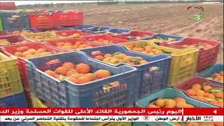 #برنامج_الإقتصاد_الأخضر .. من ولاية #مستغانم الإستثمار الفلاحي و ضرورة إستدراج التكنولوجيا