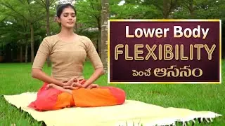 #Padmasana | Lotus Pose | Yoga for Joint Pain | Yoga With #TejaswiniManogna | #DrManthanOfficial