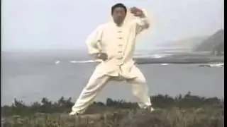 Chen Style Tai Chi - Silk ReelingPower - Chen Xiaowang - Part 03