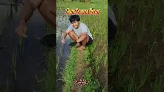 Mancing Belut Babon Pake Umpan Cacing 🪵🌱🍃🌳 #mancing #belut #babon #sawah