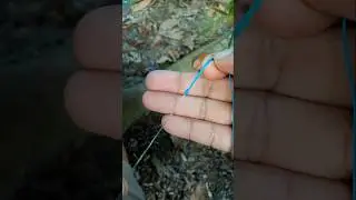How to tie braid line to Fluorocarbon #fishing #fishingknot #braid #fluorocarbon