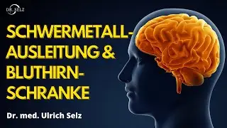 Schwermetallausleitung und Bluthirnschranke - Wann wichtig?