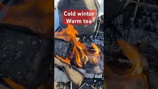 Warming up with tea and fire on a cold winter day #nature #shorts