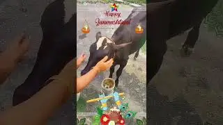 Suno krishna #trending #viralvideo #shortvideo