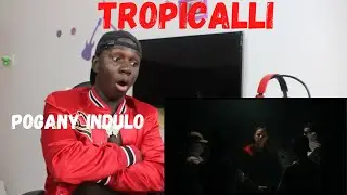Pog&aacute;ny Indul&oacute; - Tropicalli Official  Video Reaction!!