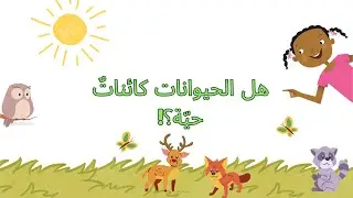 الحيوانات كائنات حية يا ترى! ماذا عن دبدوبي؟ 🧸