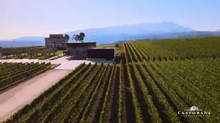 Podere Castorani - 200 years of history in Abruzzo, Italy