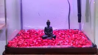 How to fix imported Fish Tank set with bottom cabinet |Tamil|