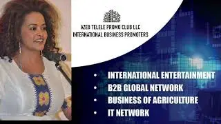 Diaspora Success Story for Azeb Telele as Presented at 11th WAU Annual Celebration.