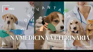 5 DESVANTAGENS AO CURSAR MEDICINA VETERIN&Aacute;RIA l DICAS DA VET