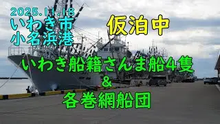 2025.11.18小名浜港 仮泊中のさんま船団と各巻網船団(大師丸 清勝丸 寿和丸 共徳丸など)