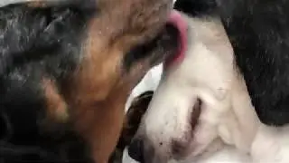 Smokey ASMR Licks Bandit Until Door Opens (2/18/2020)