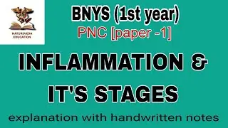 Inflammation and its stages |Natureveda Education| BNYS 1st year| PNC paper -1