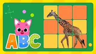 Learn Alphabets with Sliding Puzzle | G: Giraffe | Pinkfong English for Kids | Pinkfong & Hogi