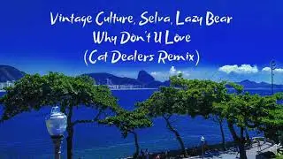 Vintage Culture, Selva, Lazy Bear - Why Don't U Love (Cat Dealers Remix)