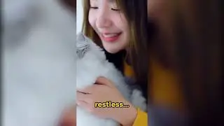 Amazing Cat Facts You Never Knew!
