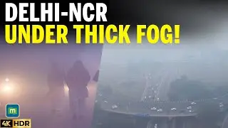 Thick Blanket Of Fog Covers Delhi-NCR, Air Quality Remains Poor | 4K