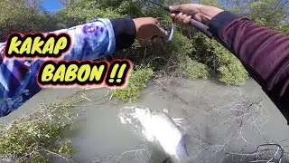 I DIDN'T BELIEVE IT!! THE MONSTER THROWED OUT IN A FALLEN TREE TURNED OUT TO BE A WHITE SNAPPER