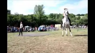 2019 08 11 Murat sur Vébre Fête Spectacle Cheval