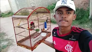 COMO FOGUEAR UM SIBITE DO ZERO 🔥