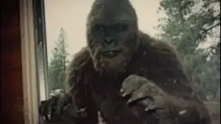 This is WILD Footage!! Man Records One Of The Most Dreadful BIGFOOT Attacks Ever!!