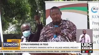 KOPIA SUPPORTS  CITRUS FARMERS IN TESO WITH A VILLAGE MODEL PROJECT