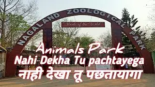 Nagaland Zoological  Park Dimapur Zoological Park