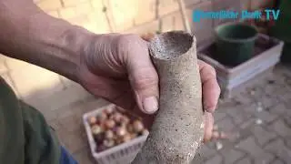 Wenn der Bauer Kuhh&ouml;rner vergr&auml;bt...