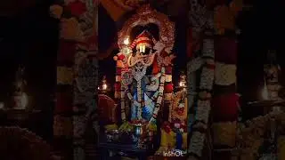 #garuda gamana thava#lord#lordvenkateshwara #krishna #vasudev