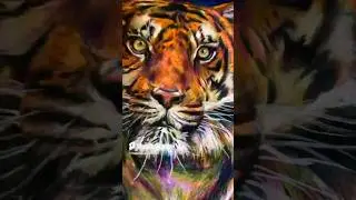 ✨DRAWING A TIGER✨REALISTIC colored pencil